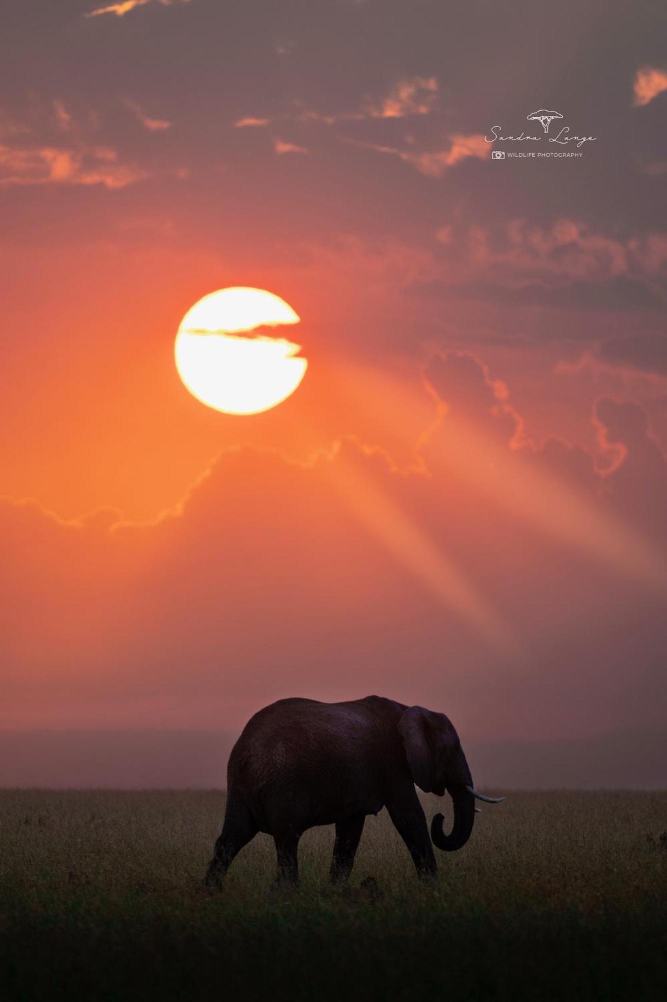 Olkinyei Mara Tented Camp Talek Экстерьер фото