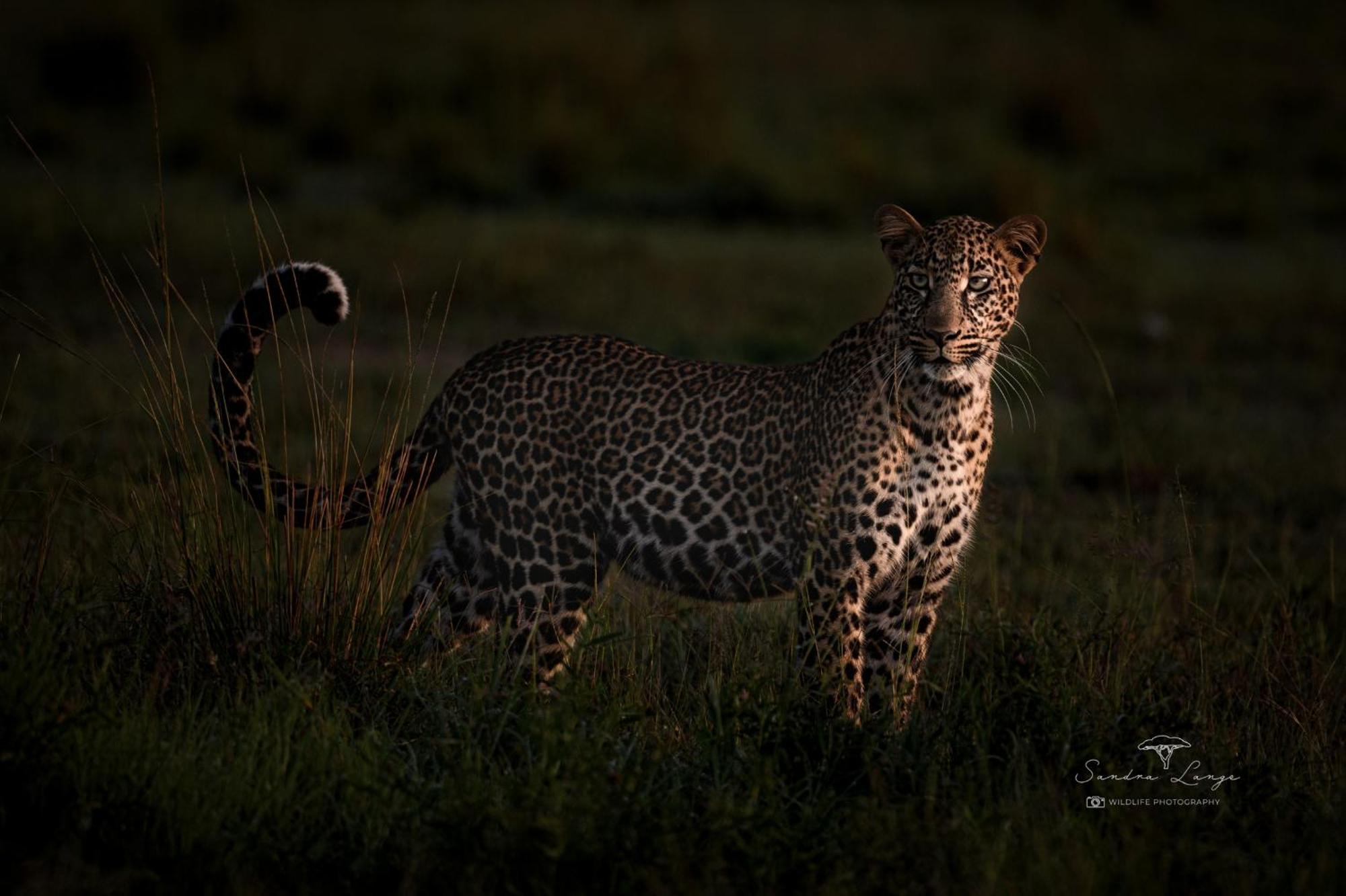 Olkinyei Mara Tented Camp Talek Экстерьер фото