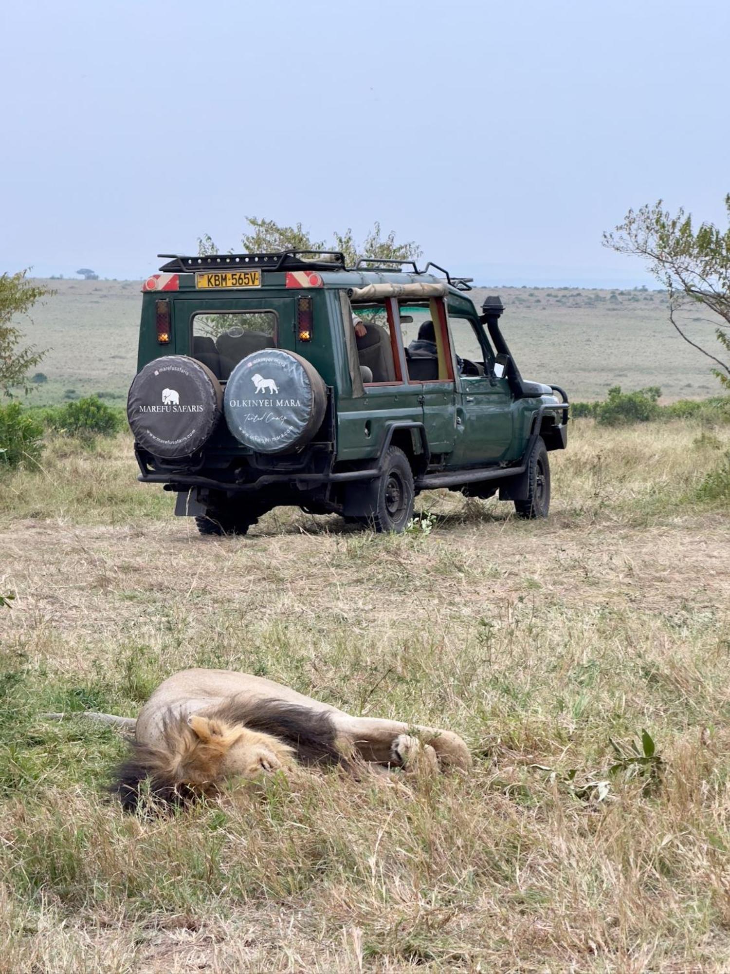 Olkinyei Mara Tented Camp Talek Экстерьер фото